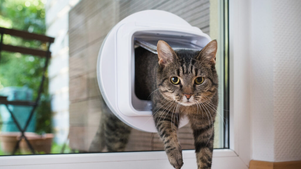 pet doors gosnells kelmscott